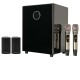 PK-2.1 2.1Ch Home Cinema & Karaoke Speaker System, Optical/Coaxial, Feedback Eliminator